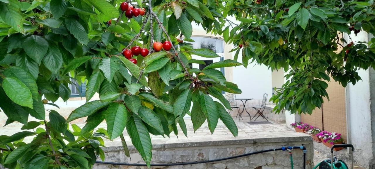 Appartamento Locazione Turistica San Giorgio Putignano Esterno foto