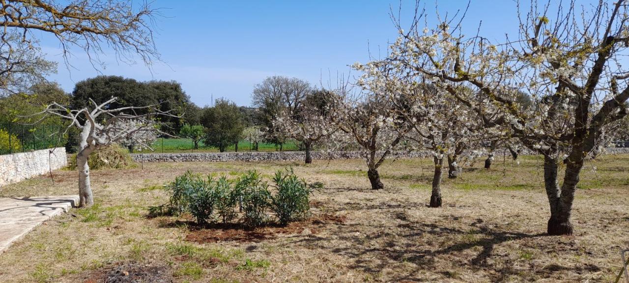 Appartamento Locazione Turistica San Giorgio Putignano Esterno foto